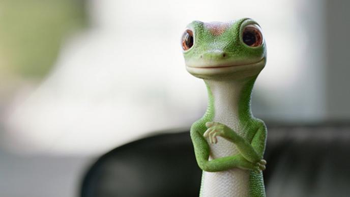 cg animated geico gecko