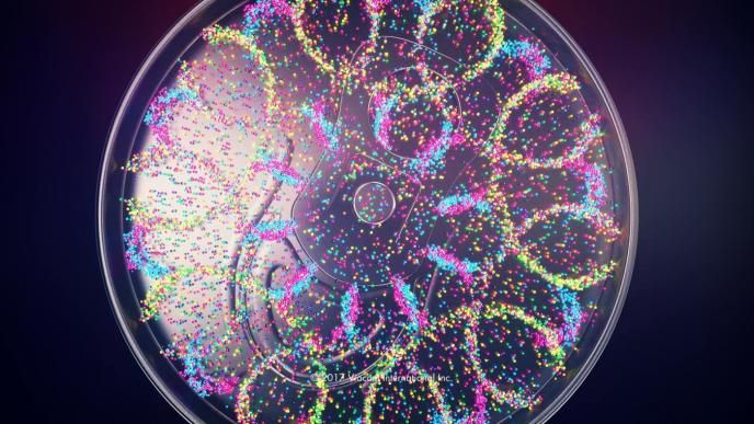 small colourful bubbles in a flower formation