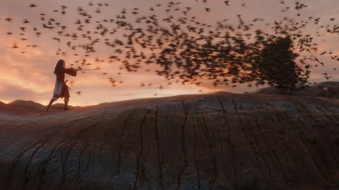 mulan actress liu yifei training on top of a canyon pointing at hundreds of birds in formation during a sunset