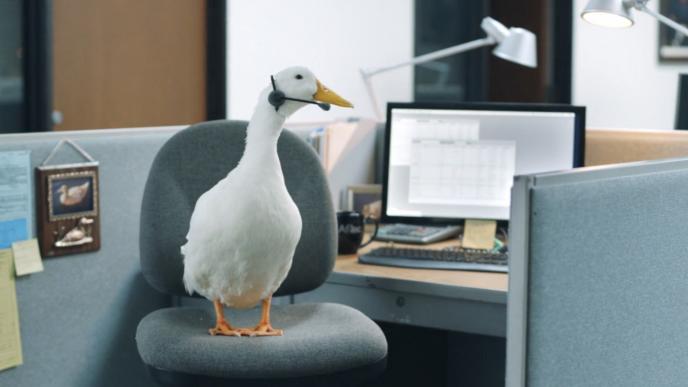a duck wearing a call headset standing on a chair in an office cubicle