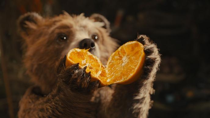 cg animated photorealistic paddington bear holding up an orange cut in two pieces