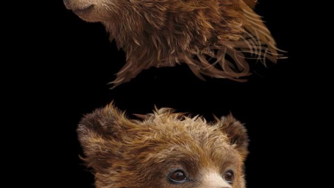 detail shot of paddington bear. the top head of the bear is facing left and the bottom head of the bear is facing forward slightly to the right