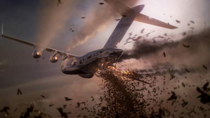 back view of a large plane exploding with thousands of scarabs