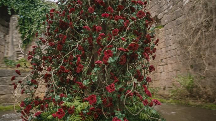 a large red rose tree with vines coming out of it