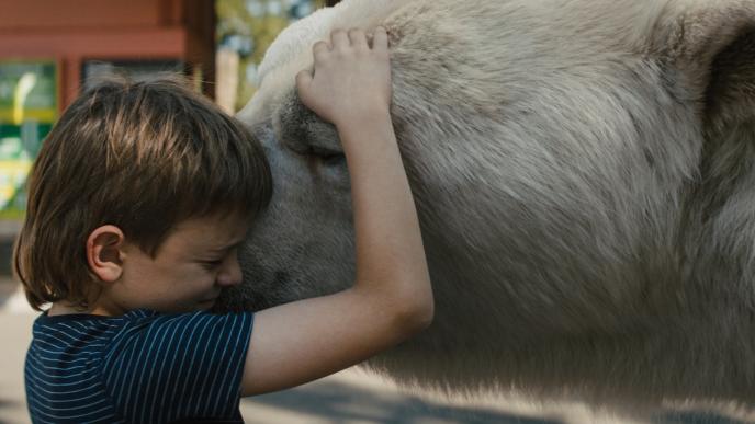 timmy failure hugging his polar bear friends face while crying