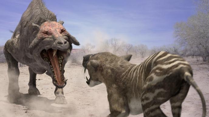 prehistoric hog and large cat roaring at each other