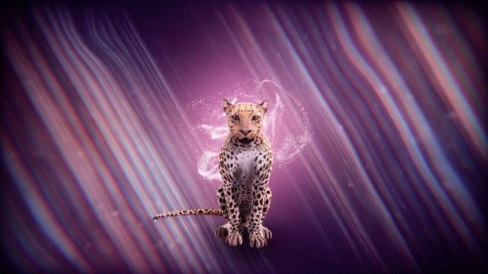 A digital leopard against a pink and purple background