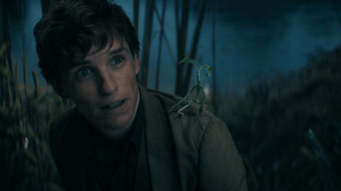 Eddie Redmayne as Newt Scamander, with Pickett the bowtruckle