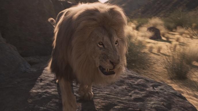 A large lion snarls