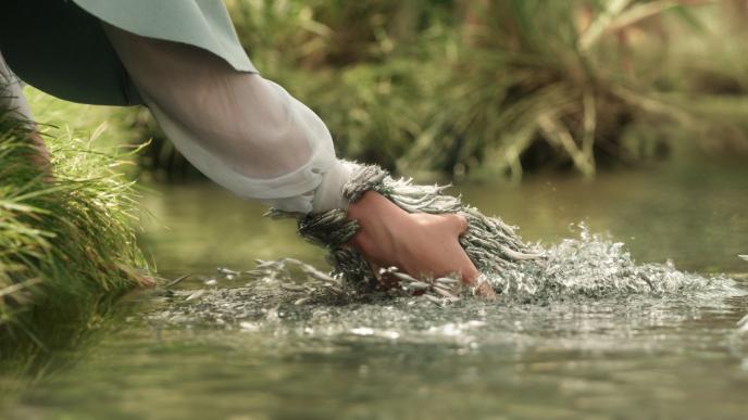 A hand reaches into a lake, grasping what seems to be a hand coming out of the water, formed of lots of small fish