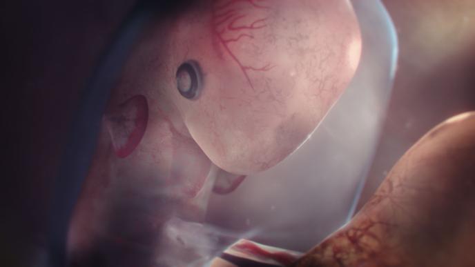 national_geo_babies_in_the_womb