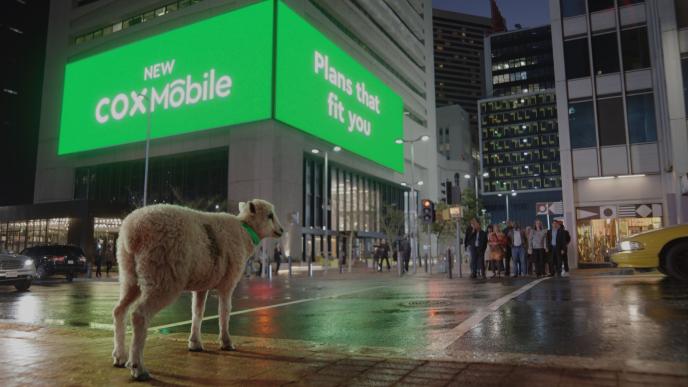 Cox Mobile Still