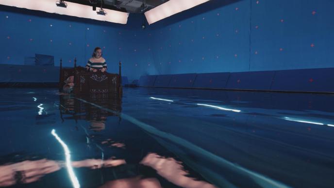 Dolphins 2