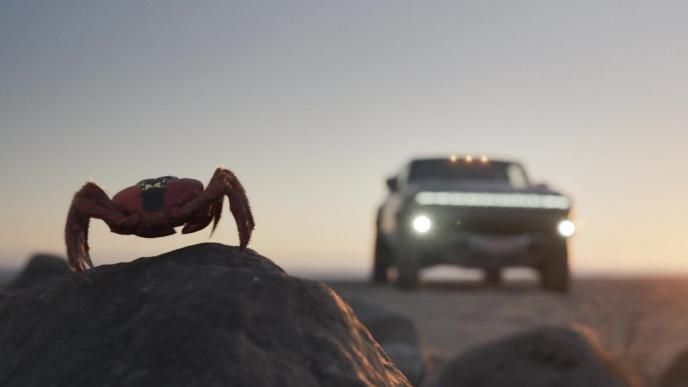 A small crab sits on a rock, in the background, a hummer vehicle with the headlights on
