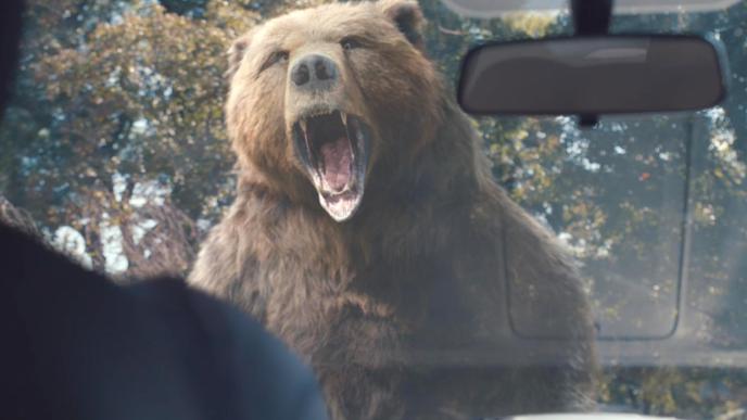 An angry bear stands on its hindlegs and roars at a person in a car