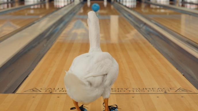 The Aflac Duck bowling at a bowling alley