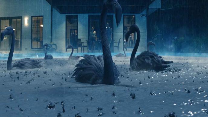 Grey scale image of Flamingos in the pool 