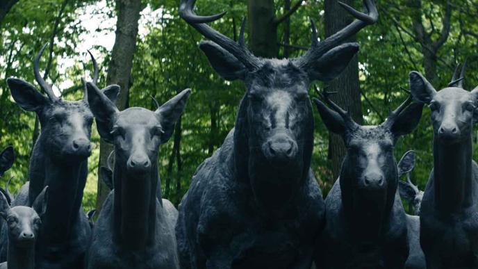 Group of deers grey scale version 