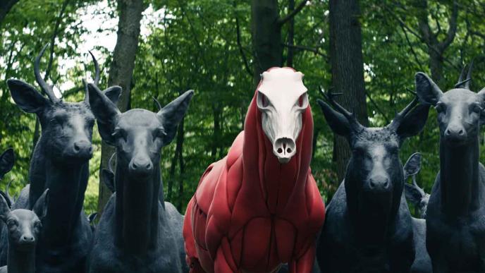 Muscle layer added to group of deers 