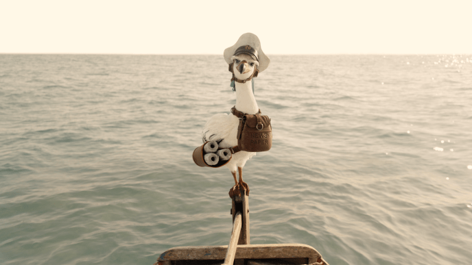 News Coo perched on a boat