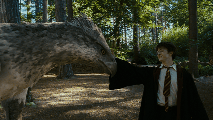 A boy is stroking the beak of a mythical creature with a birds head and horses body, they are in a warmly lit forest.