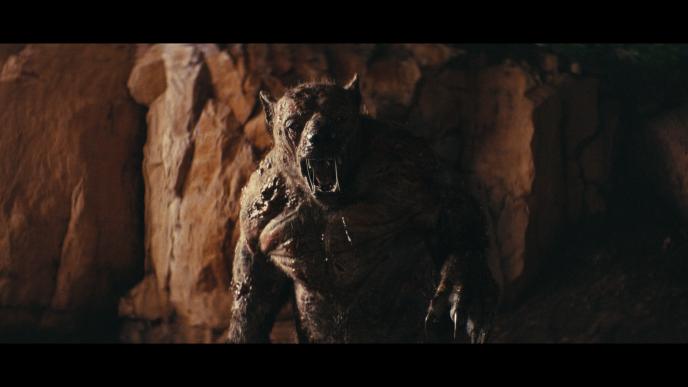 Mutated bear, otherwise known as the Yao Gui standing in the centre with a rocky background behind  