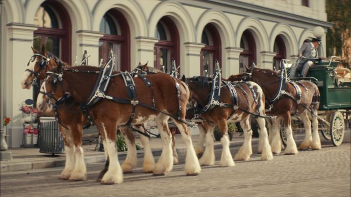 side view of six horses attached to a green carriage. there is someone sitting on the carriage holding the reigns and looking behind