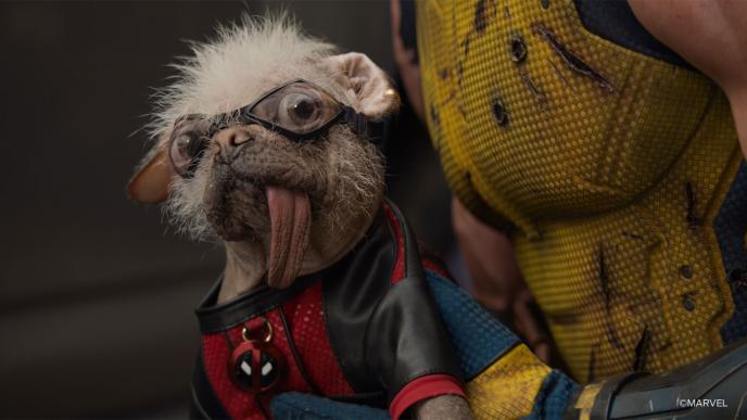 A final shot of Peggy the dog with CG enhanced eyes and goggles in Deadpool & Wolverine