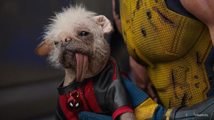 A before shot of Peggy dressed as Dogpool in Deadpool & Wolverine
