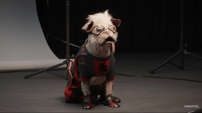 Dogpool