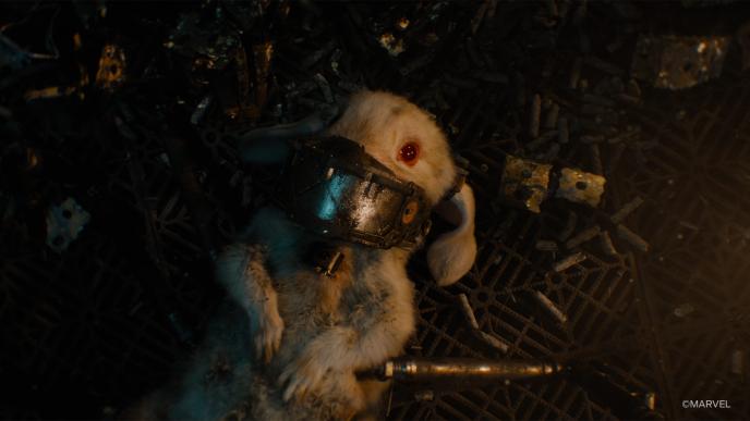 From Guardians of the Galaxy Vol. 3. Floor the rabbit lies on the floor.