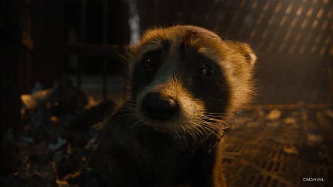From Guardians of the Galaxy Vol. 3. A baby Rocket Raccoon sits, tearful, in a cell with a shaven head. Rocket is a 100% digital creature made using CGI