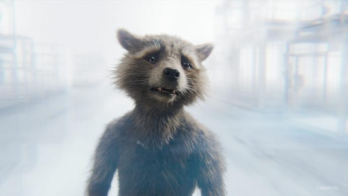 Rocket Raccoon looks off into the distance in Guardians of the Galaxy Vol. 3