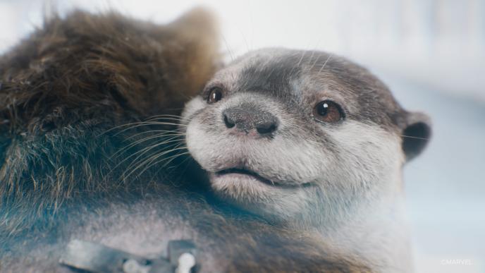 From Guardians of the Galaxy Vol 3. Lylla the otter embraces Rocket. The characters are entirely CGI.