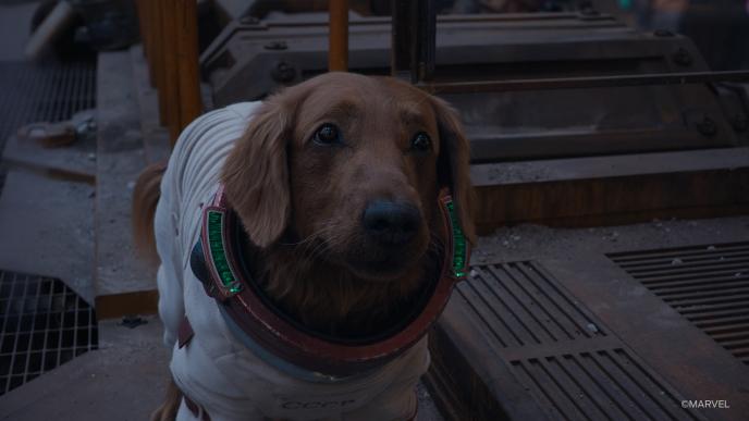 Cosmo from Guardians of the Galaxy Vol. 3. Cosmo is a CGI dog in a space suit.
