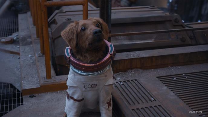 Cosmo from Guardians of the Galaxy Vol. 3. Cosmo is a CGI dog in a space suit.