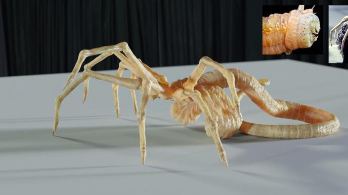 Concept of hugger from Alien: Romulus