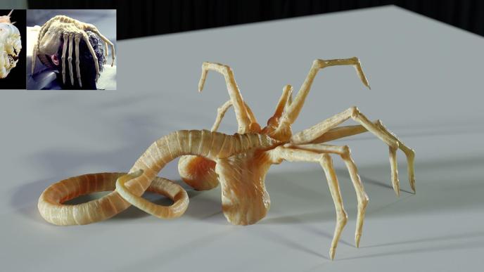 Concept of hugger from Alien: Romulus