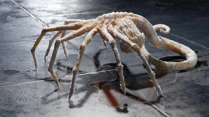 Concept of hugger from Alien: Romulus