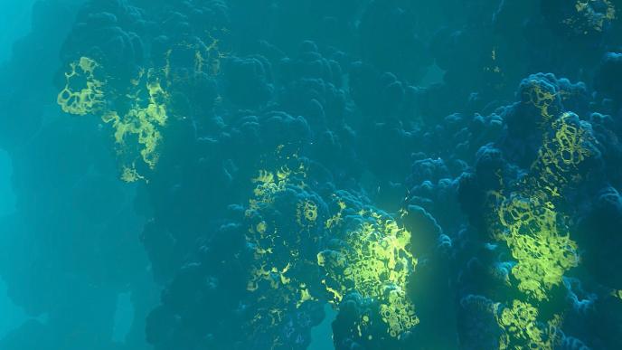 animated highlighted coral