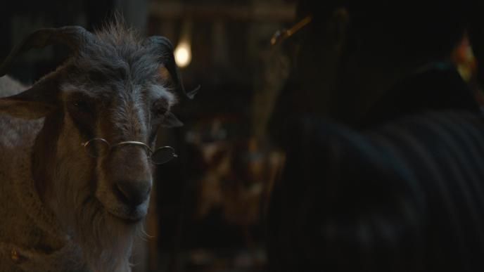 A final shot from Wicked Part One. Cynthia Erivo as Elphaba places spectacles on Doctor Dillamond's face. Doctor Dillamond is a photoreal CG goat created using visual effects