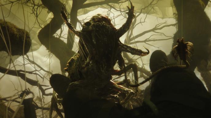 Final grade image of the Centipede 