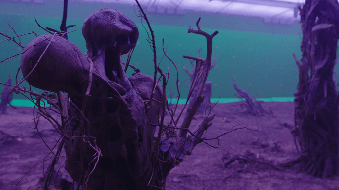 Before shot of the dark and ominous purple environment in The Gorge 