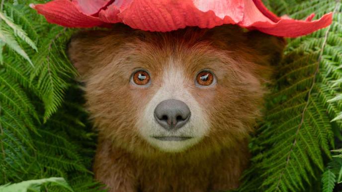A baby Paddington, with a red flower on his head in lieu of his signature hat