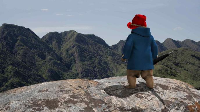 Postvisualisation of Paddington in Peru
