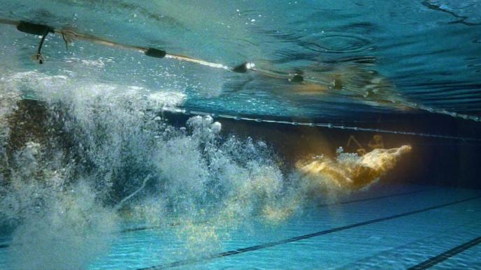 a highlighted swimmer diving into a swimming pool
