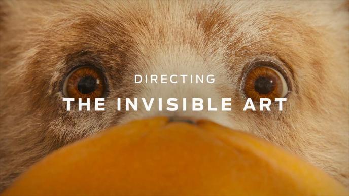 A close up of Paddington overlaid with white text "Directing the Invisible Art"