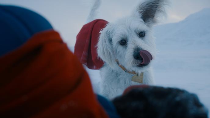 Final shot of CG creature superdog Krypto in Superman film