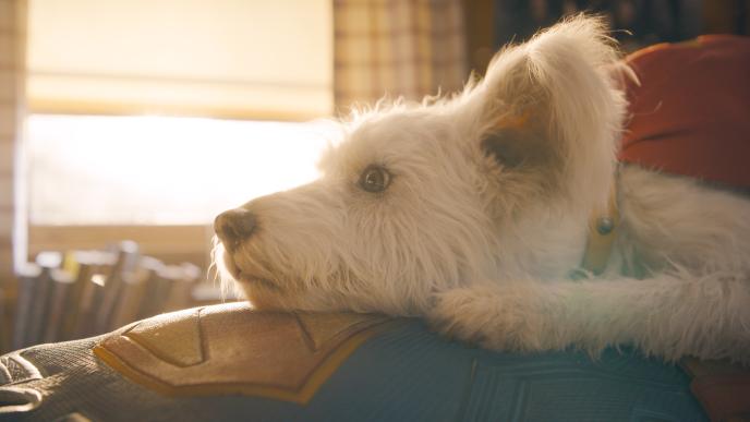 final shot of CG creature Krypto in Superman