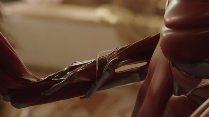 Anatomical layer of Millie and Tim's hand merging shot 